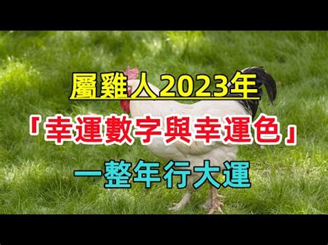 2023屬雞幸運色|【屬雞2023生肖運勢】犯太歲險阻多，感情幾經波。